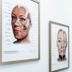 MD Esthetics Windham