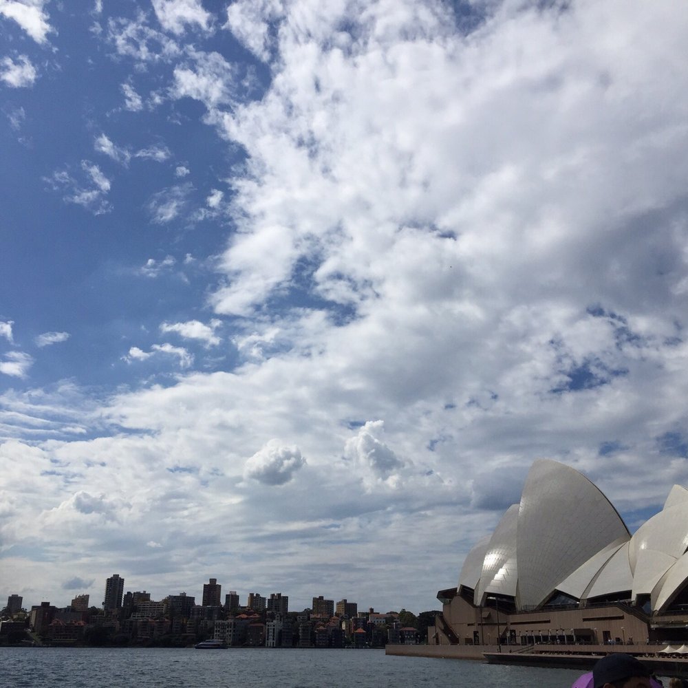 Opera Bar - My favourite place in the world!! - Beer Gardens Near Me - Sydney, NSW