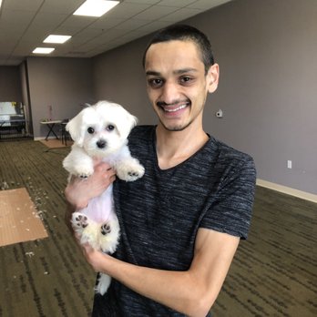 Original Grooming - Pet Groomers Near Me - Fremont, California