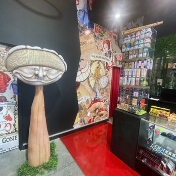 WONDER VAPE - Updated May 2026 - 1519 S Jackson Rd, Pharr, Texas - Vape  Shops - Phone Number - Yelp