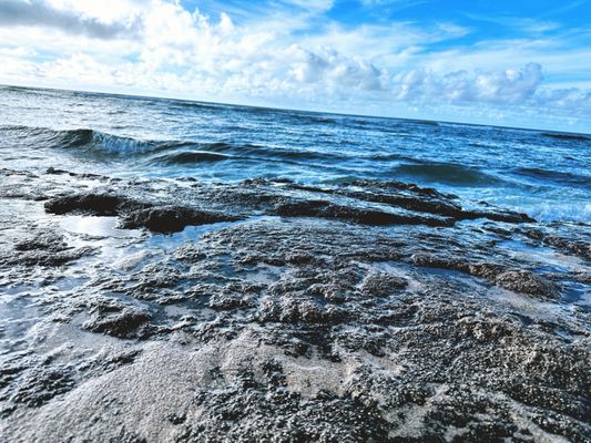 Diamond Head Beach Park by null