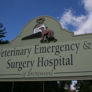 cowardly lion stuffed animal