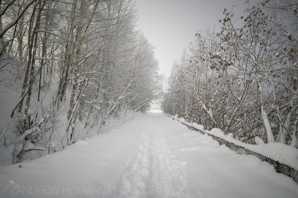 Tony Knowles Coastal Trail by null