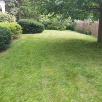 Sean's Lawn Care - If your looking for weekly, bi weekly or monthly grass cutting service on your lawn we can supply you with a high quality service. - Landscaping Near Me - Bala Cynwyd, Pennsylvania Sean's Lawn Care - If your looking for weekly, bi weekly or monthly grass cutting service on your lawn we can supply you with a high quality service. - Landscaping Near Me - Bala Cynwyd, Pennsylvania