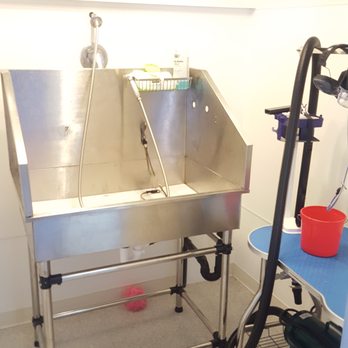 Doggiessimo - Pet Groomers Near Me - Seattle, Washington