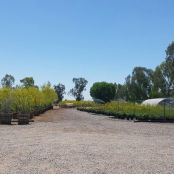 Marbil Nursery Creations - Nurseries & Gardening Near Me - Litchfield Park, Arizona