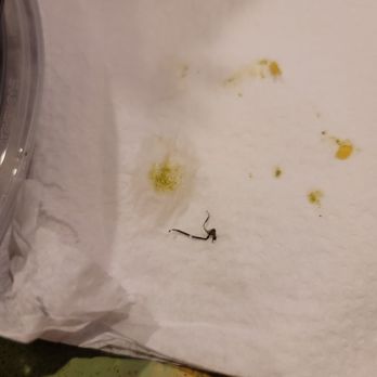 VIAGGIO ITALIAN CHOP HOUSE - Updated October 2025 - 719 Photos & 514 ...