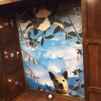 Farmacy - Ceiling Art - Coffee & Tea Near Me - Bakersfield, California Farmacy - Ceiling Art - Coffee & Tea Near Me - Bakersfield, California