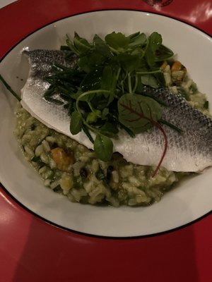 Boisdale of Canary Wharf by null