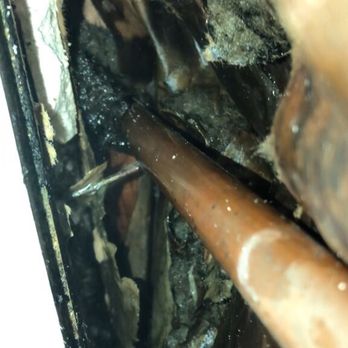 Frank's Professional Plumbing - Nail accidentally driven thru dry wall while remodeling - Backflow Services Near Me