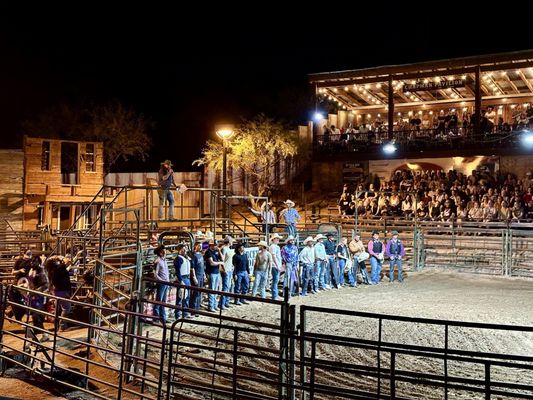 Buffalo Chip Saloon and Steakhouse by null