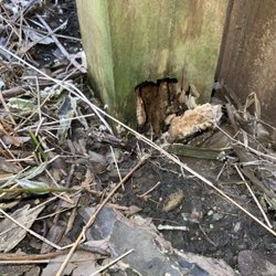 Acosta Fence Corp. - Rotted cedar fence post 6 years old.