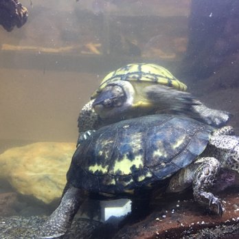 CALM Zoo - Zoos Near Me - Bakersfield, California