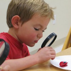 Children Evolving - Kids IQ assessment