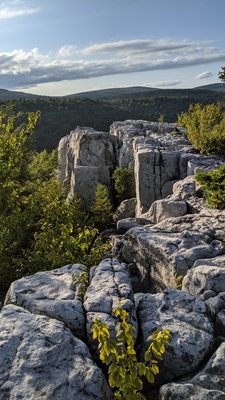 Dolly Sods Wilderness by null