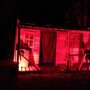 Photo of Adam's Family Haunted Woods