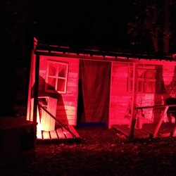 Adam's Family Haunted Woods