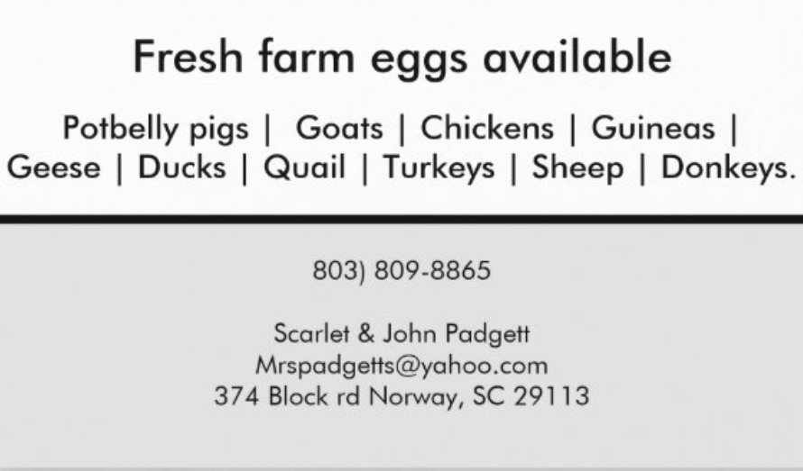 Social spots from Padgett’s Farm & Hatchery