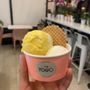 The Yogo