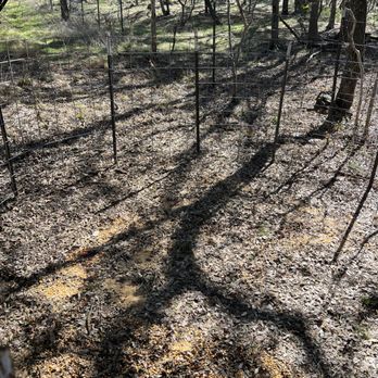 Texican Wild Hog Trapping - Wildlife Control Near Me Texican Wild Hog Trapping - Wildlife Control Near Me