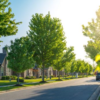 Keyport Arboriculture Consulting - Tree Services Near Me - Keyport, Washington Keyport Arboriculture Consulting - Tree Services Near Me - Keyport, Washington