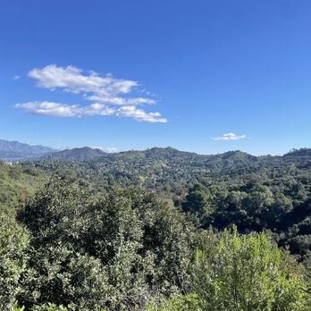 TreePeople - Community Service/Non-Profit Near Me - Beverly Hills, California