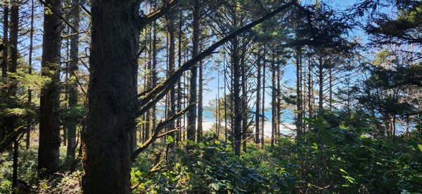 Cape Perpetua Visitor Center - Siuslaw National Forest by null