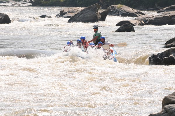 French Broad Adventures by null