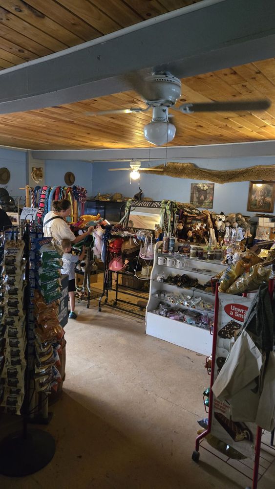 Bailiwick Animal Park - equestrian in Catskill, NY