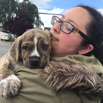 Pets In Need - They bonded - Animal Shelters Near Me - Redwood City, California