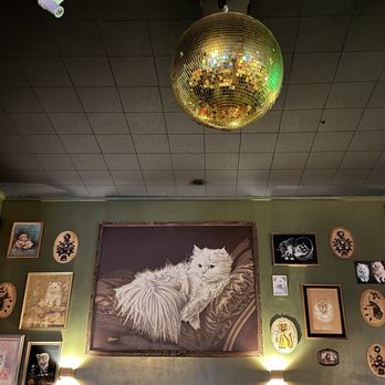 The Tiny Pony - Disco cat - Bars Near Me - Yucca Valley, California