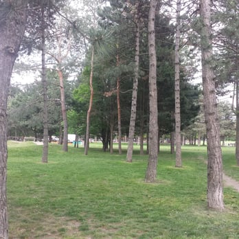 Prater Hauptallee - Parks Near Me - Vienna, 9