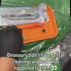Dental Safari - Dental cleanings are important for survival. Dinosaurs didn't have dental cleanings and look what happened to them.
#DentalHumor