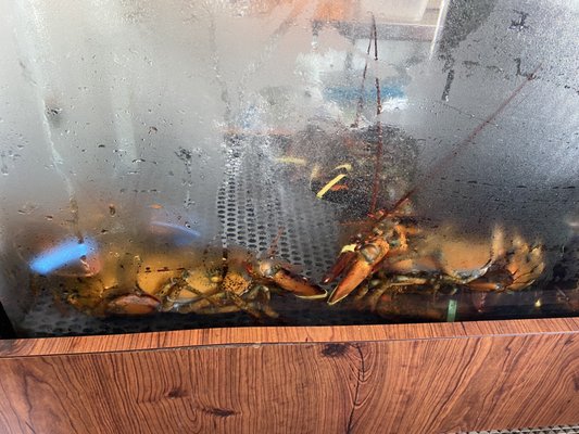 Crosby's Crab Company by null