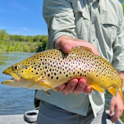 Hawkins Outfitters