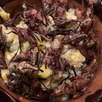 M Cantina - Grasshopper esquites - Mexican Near Me - Dearborn, Michigan