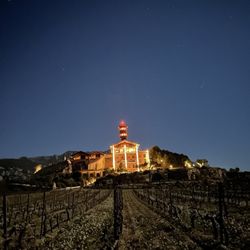 Eguren Ugarte - View at night from vines
