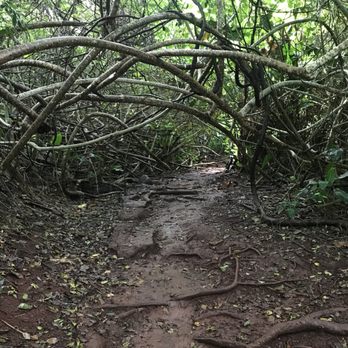 Likeke Falls - Hiking Near Me - Honolulu, Hawaii