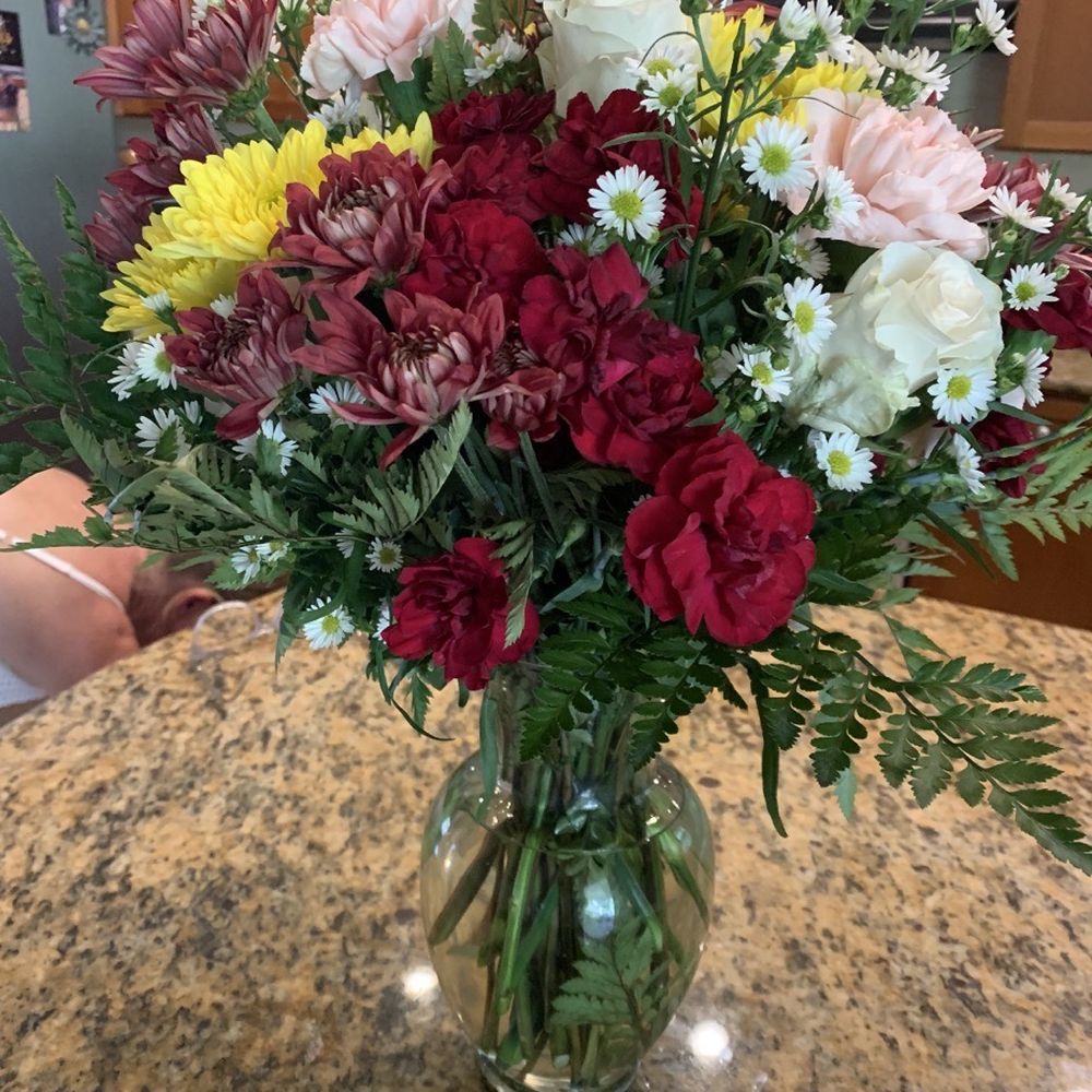 Vero Beach Florida Flowers Best Flower Site