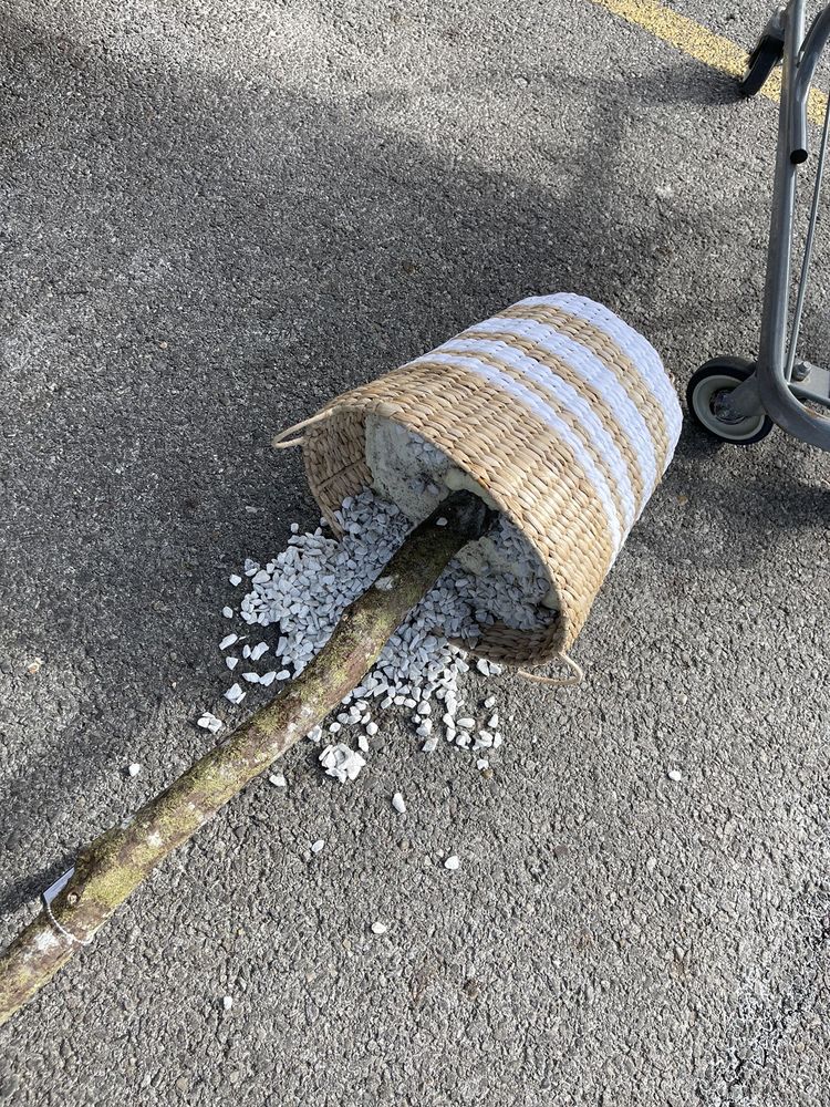 HOMEGOODS Updated July 2024 15 Reviews 379 Stoneridge Ln