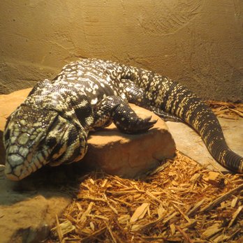 Reptilia - Zoos Near Me - Concord, Ontario Reptilia - Zoos Near Me - Concord, Ontario
