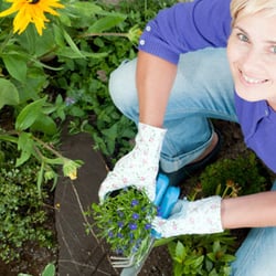 EverKept Disposal - Yard Waste Collection