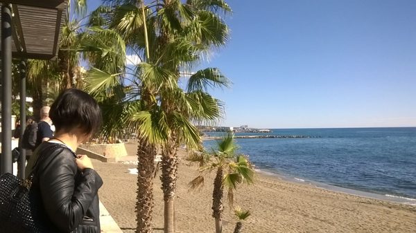 El Fuerte Marbella by null