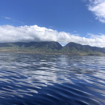 Makai Adventures - Boat Charters Near Me - Lahaina, Hawaii Makai Adventures - Boat Charters Near Me - Lahaina, Hawaii