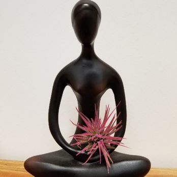 Pivot Acupuncture - Peaceful accents - Acupuncture Near Me - Fairfield, California Pivot Acupuncture - Peaceful accents - Acupuncture Near Me - Fairfield, California