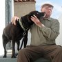 Photo of Mike's Dog Walking Service