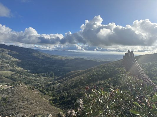 Patland Estate Vineyards by null