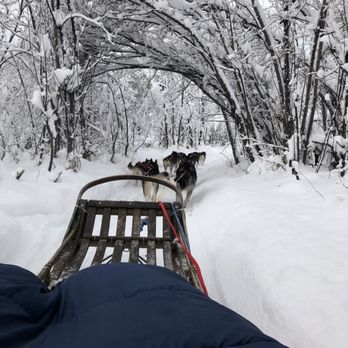 Trail Breaker Kennel - Sledding Near Me - Fairbanks, Alaska Trail Breaker Kennel - Sledding Near Me - Fairbanks, Alaska