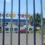Photo of Rocco Toys
