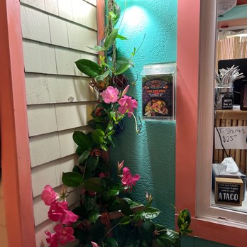 LocOhana Tropical Grill - pink flowers growing on the side of a building - Caribbean Near Me - Beach Haven, New Jersey